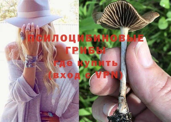 кристаллы Осинники